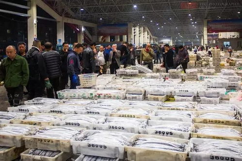 浙江水产城成功创建省食品安全规范化A级农批市场，为食用农产品批发树立标杆