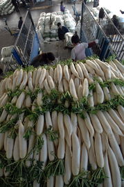 商务部 18种蔬菜平均批发价格环比下降5.9%，食用农产品市场供应稳定