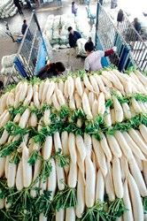 食用农产品批发价格微幅波动 18种蔬菜批发均价周环比回落5.9%